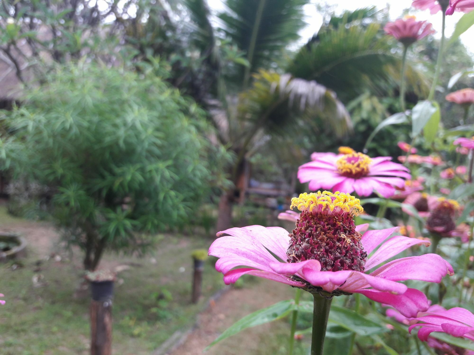 Nusha Homestay Pai Exterior foto